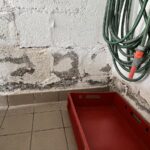 garage_02